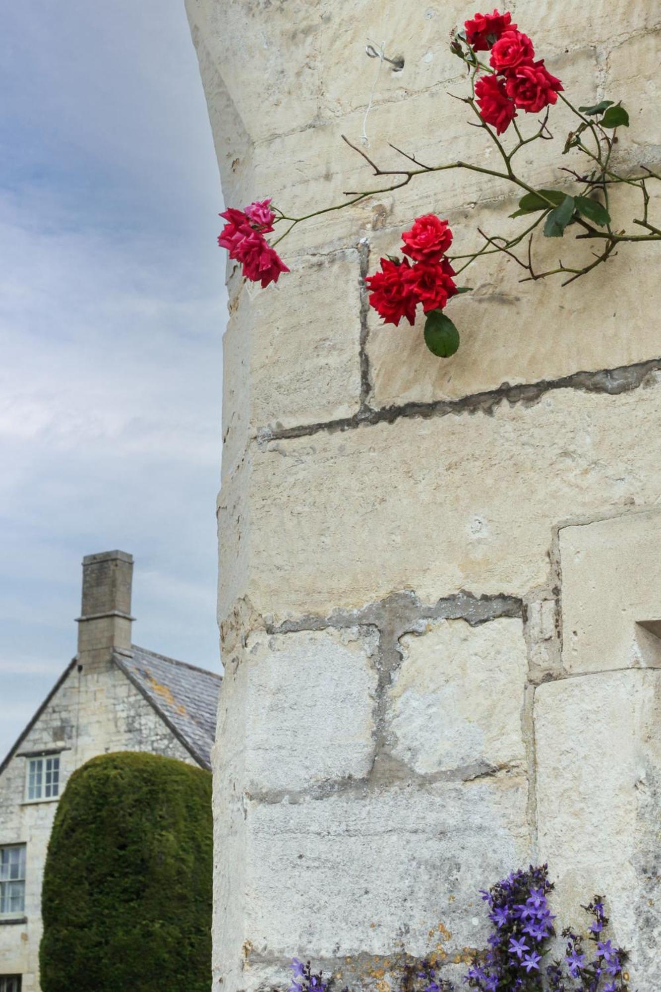 Bright & Beautiful Open Plan Coach House Painswick Villa Exteriör bild